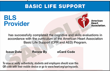 2025 BLS Provider eCard